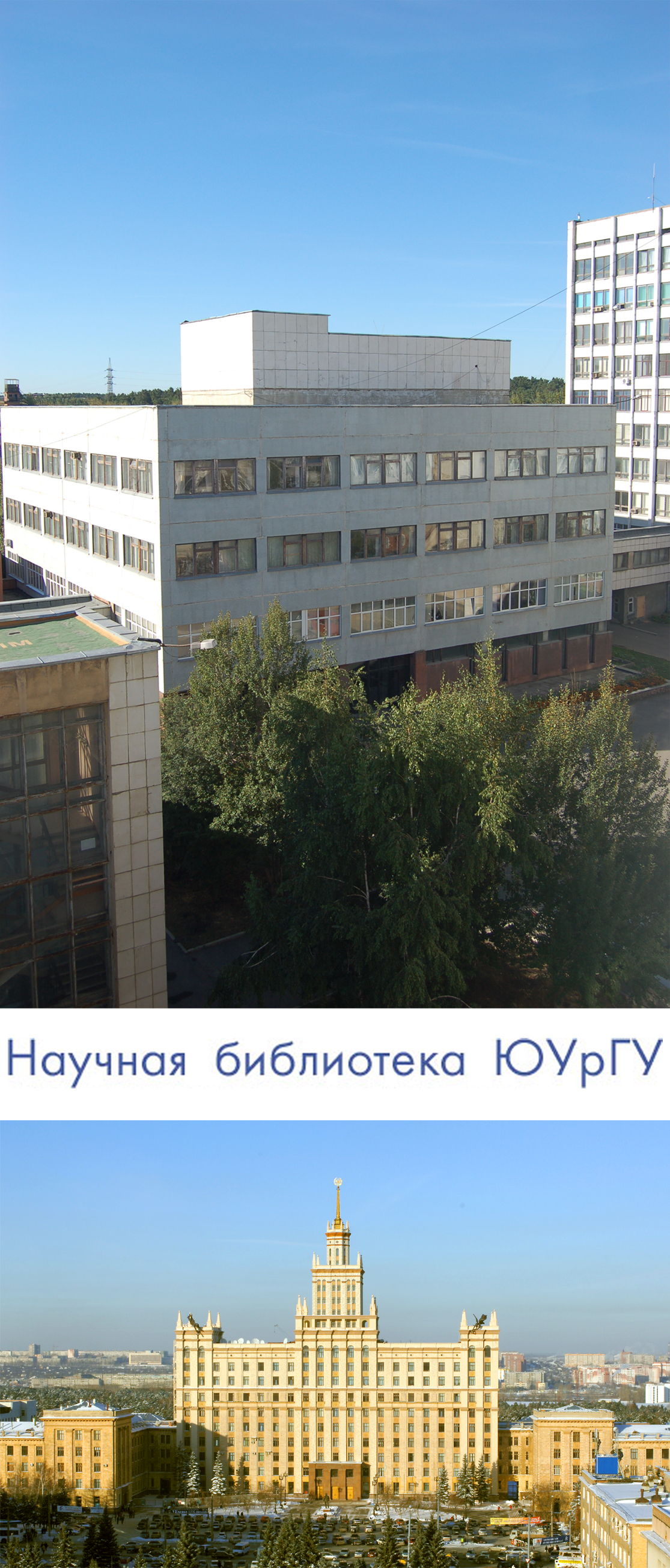 Откройте для себя путь к успешной карьере и реализации самых смелых бизнес‑идей с ВШЭУ ЮУрГУ